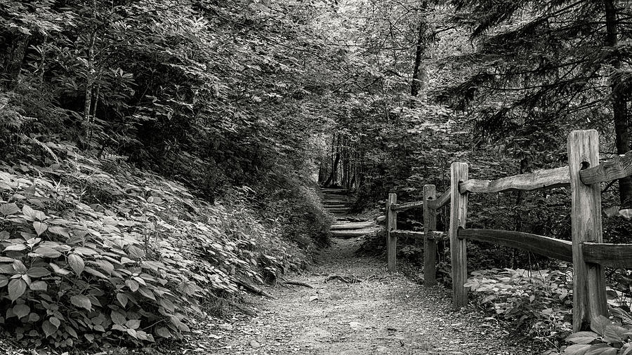 Appalachian Trail Trek Photograph by Stephen Stookey