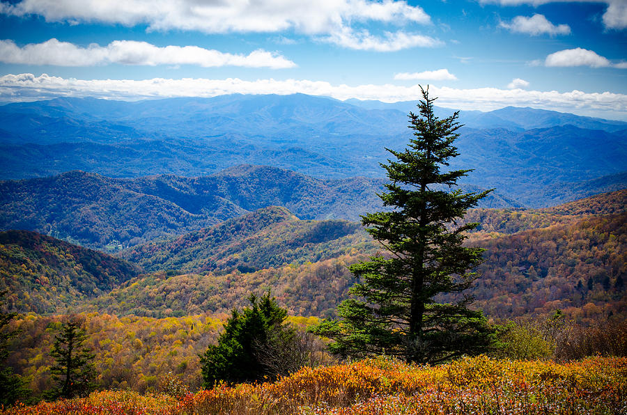 Appalachian Trail View Photograph by Debbie Karnes
