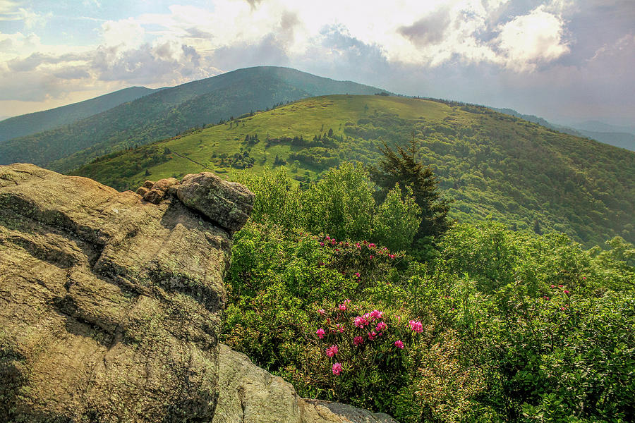 Appalachian Trails Photograph by Jessica Brawley