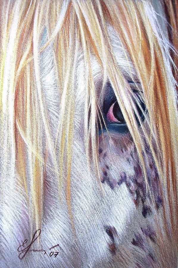 Horse Drawing - Appaloosa by Elena Kolotusha