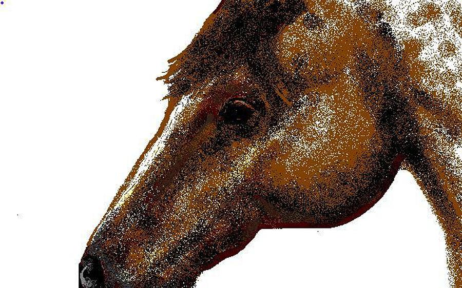 Horse Digital Art - Appaloosa Eye by Carole Boyd