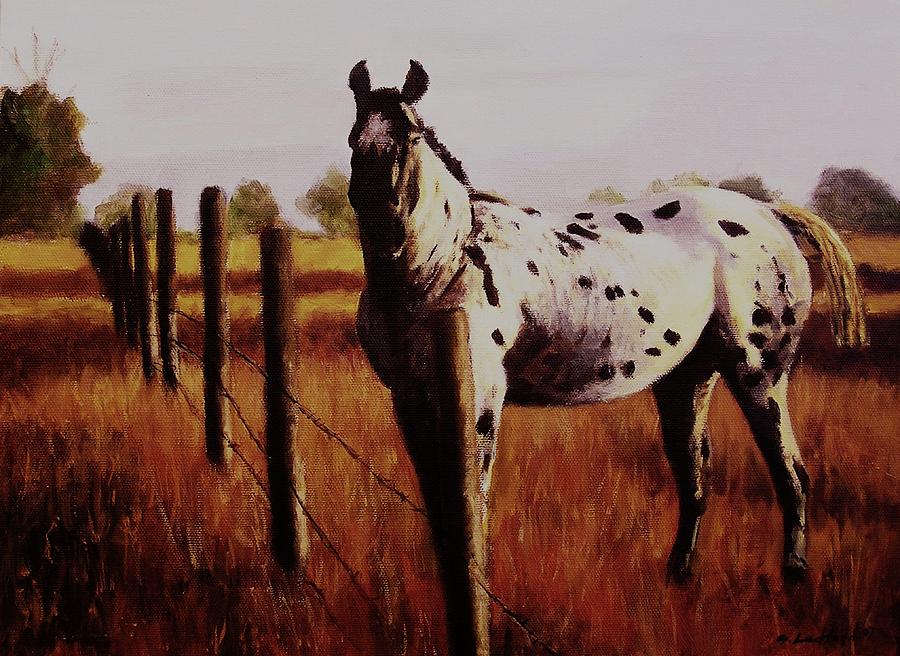 Appaloosa Horse in Pasture Painting by Glenn Ledford - Fine Art America