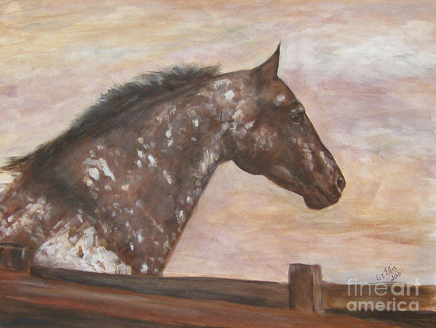 Appaloosa Stallion Painting by Elizabeth Ellis