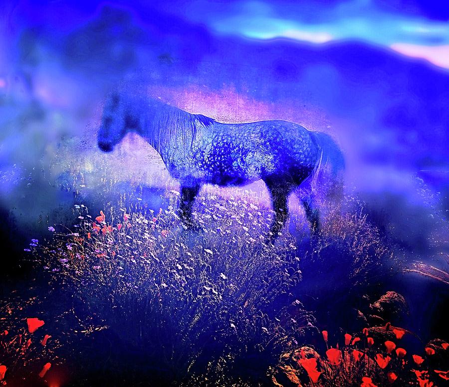 Appaloosa Twilight Digital Art by Kevyn Bashore
