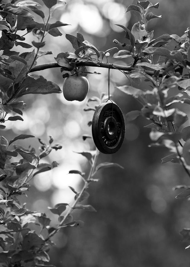 Black And White Photograph - Apple and Weights Tree by Edward Myers