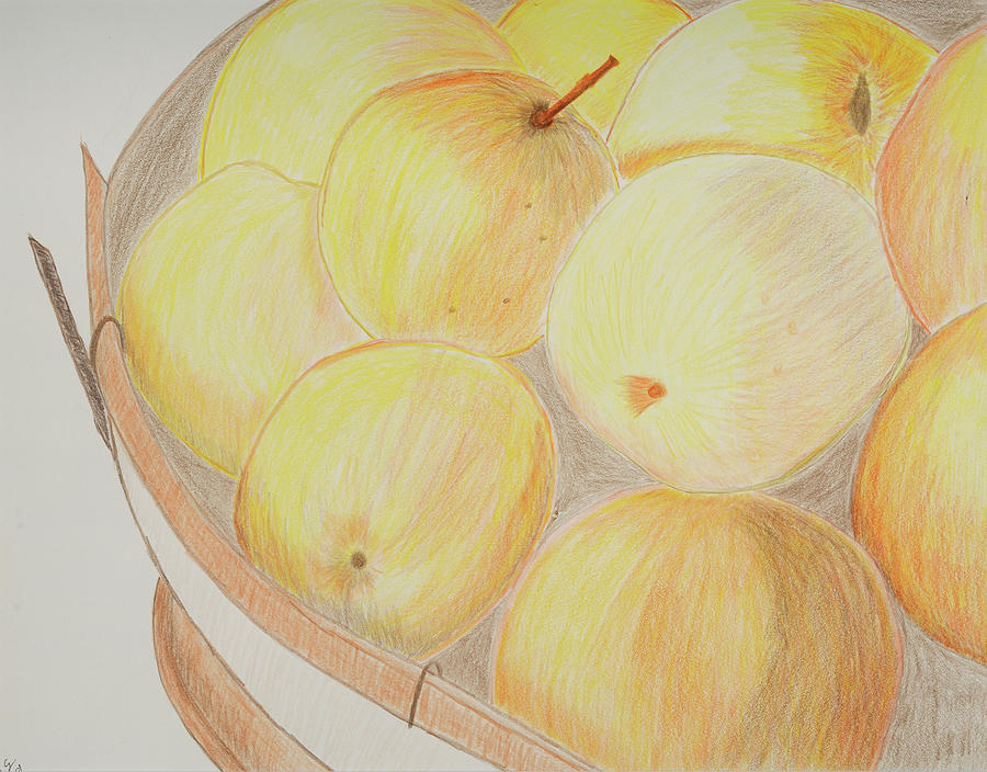 Apple Basket Colored Pencil Sketch Drawing by Cynthia Schoeppel