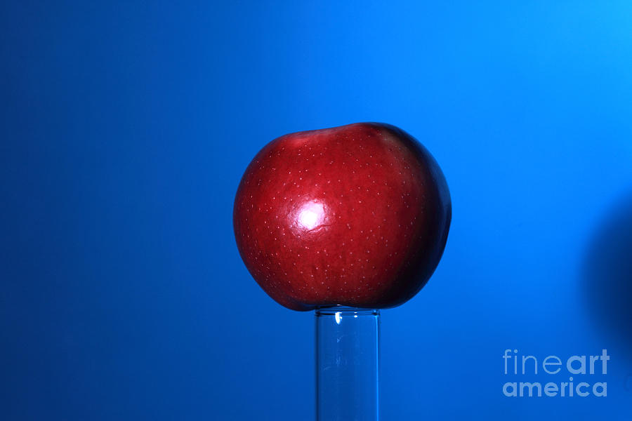 Apple Photograph - Apple Before Bullet Impact by Ted Kinsman