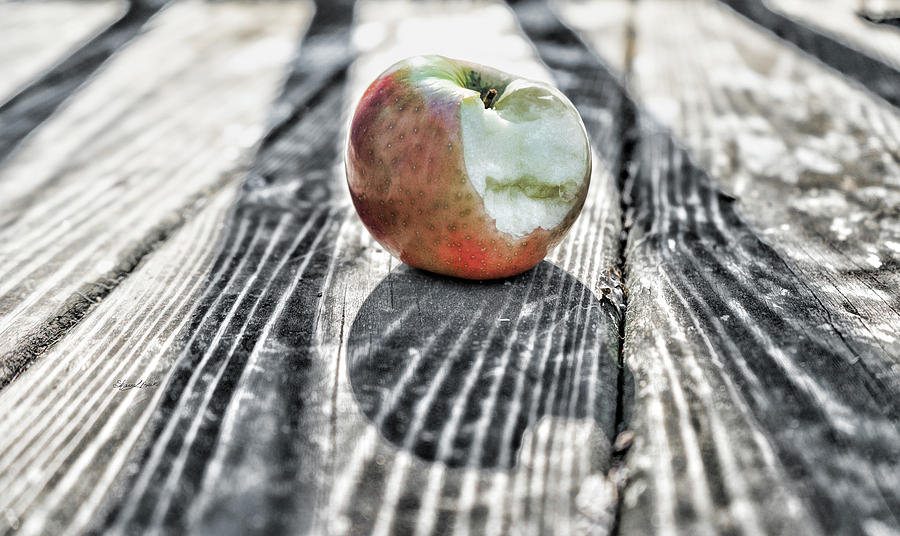 Apple Bite Photograph by Sharon Popek