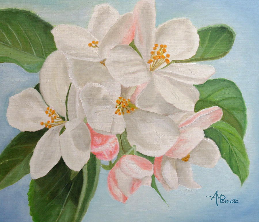 Apple Blossom Painting By Angeles M Pomata