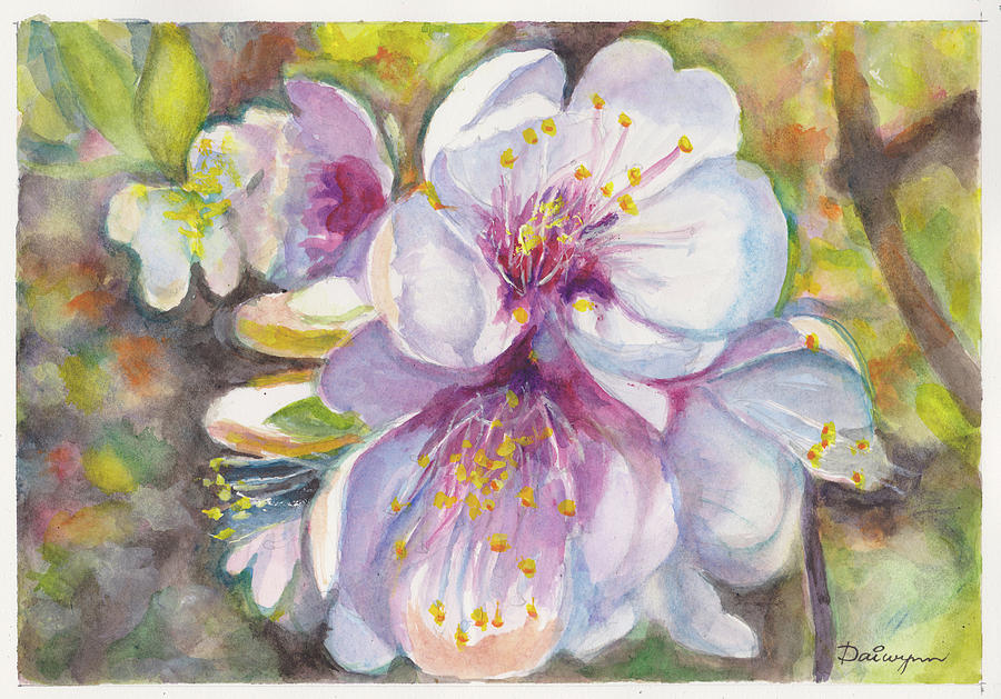 Apple Blossom Aquarelle Painting by Dai Wynn