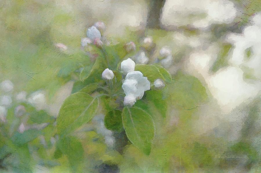 Apple Blossom Branch - Digital painting Photograph by Maria Angelica Maira