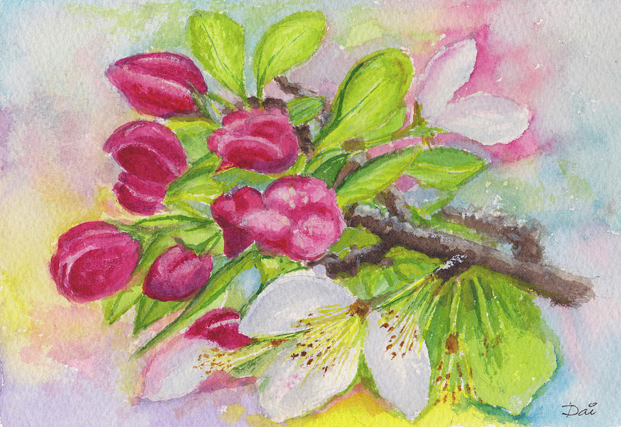Apple blossom buds on a greeting card Painting by Dai Wynn