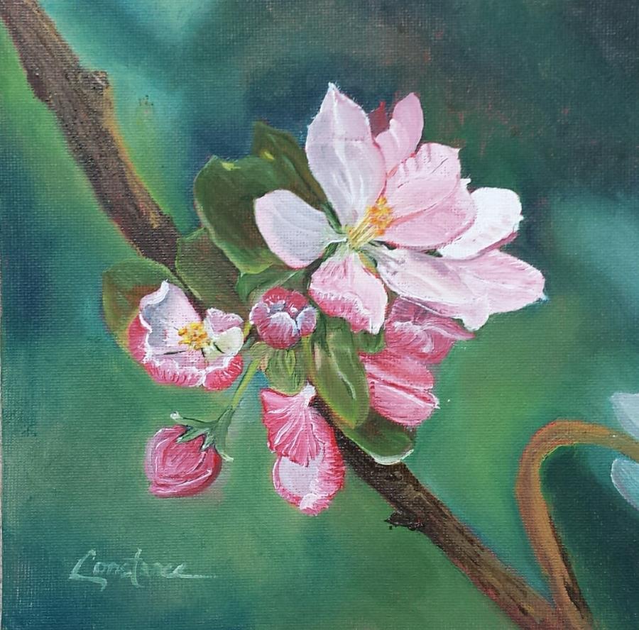 Apple Blossom Painting by Connie Rowsell