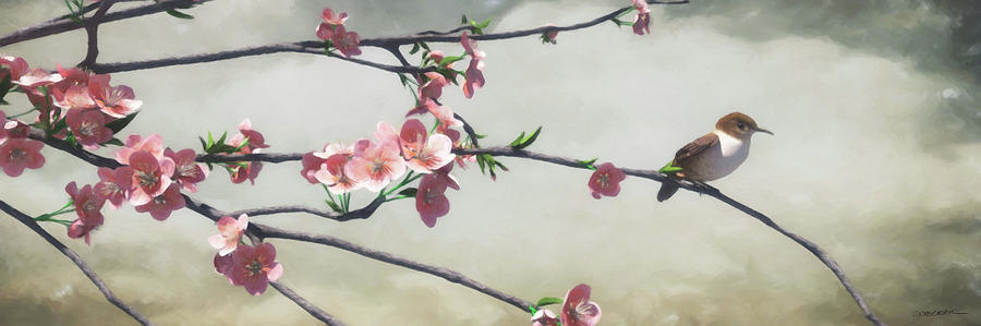 Apple Blossom Digital Art by Cynthia Decker