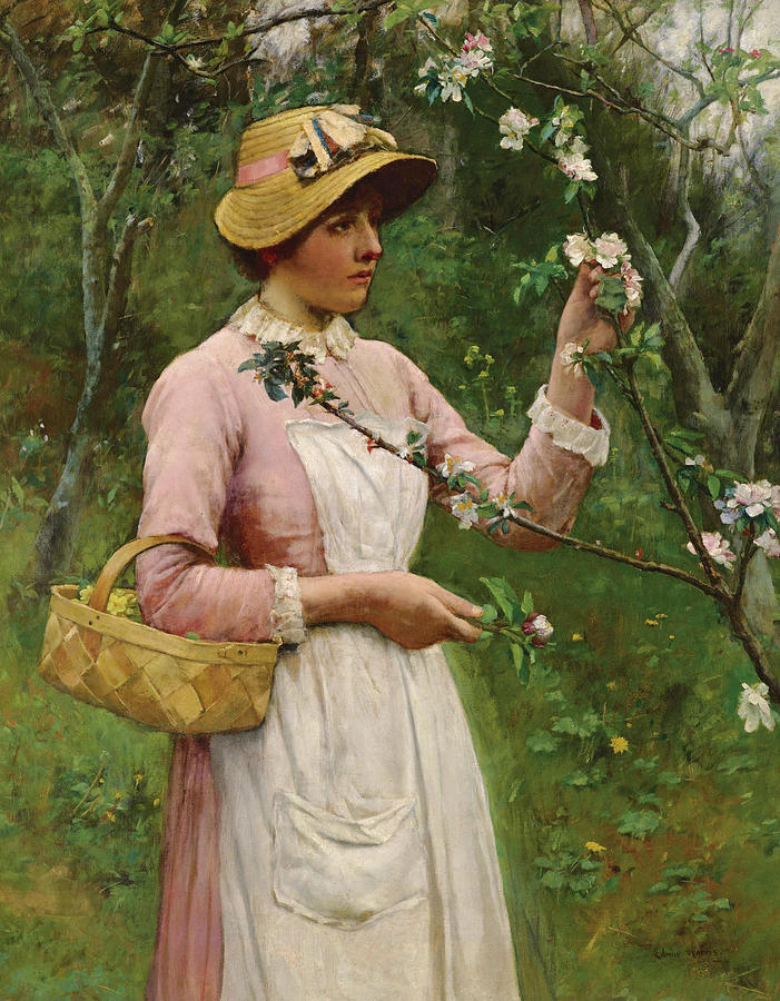 Apple Blossom Painting by Edwin Harris