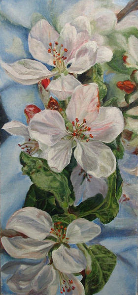 Flower Painting - Apple blossom by Olga Gorbacheva