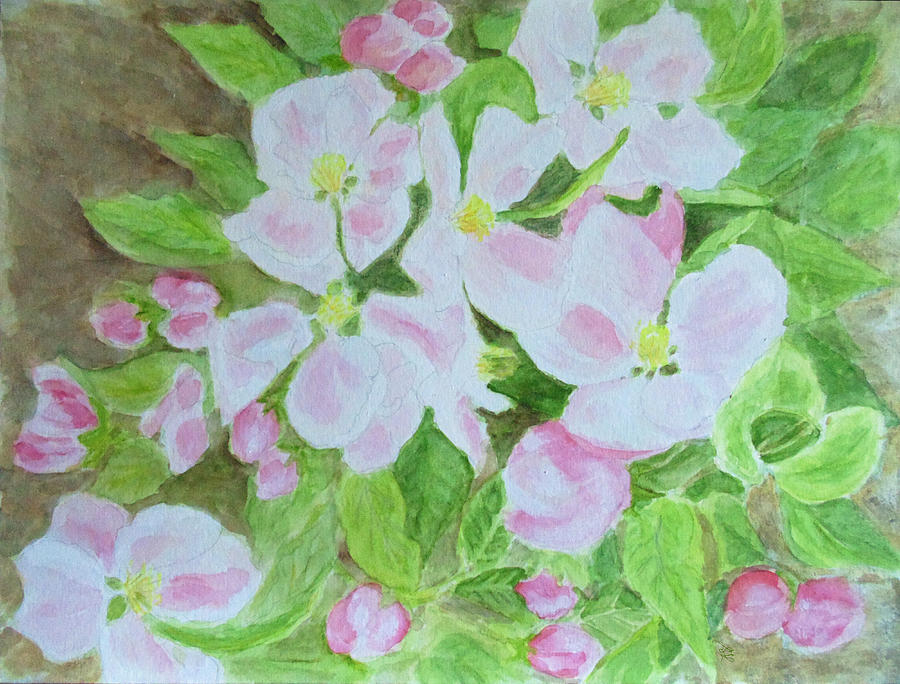 Apple Blossom, Spring Herald Painting by Stephanie Grant