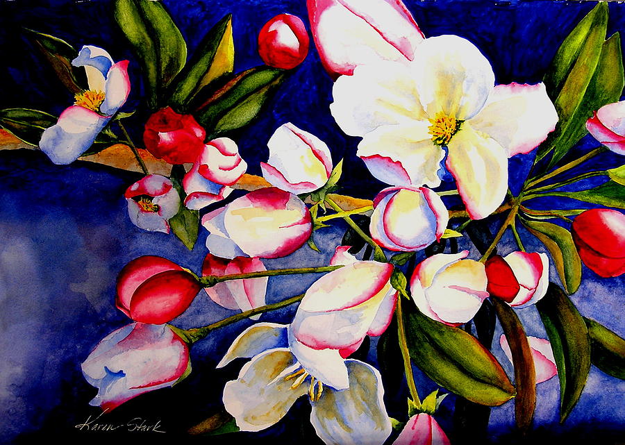 Flower Painting - Apple Blossom Time by Karen Stark