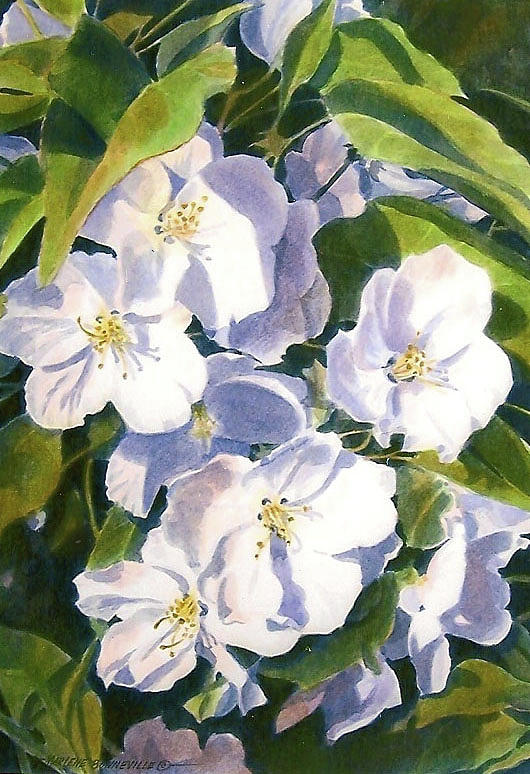 Flower Painting - Apple Blossom Time by Marlene Bonneville