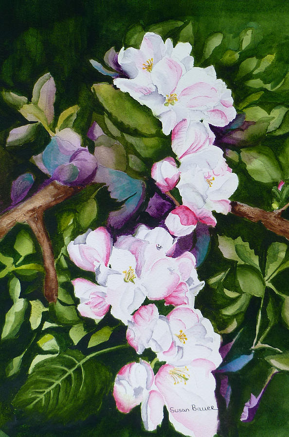 Apple Blossom Time Painting by Susan Bauer