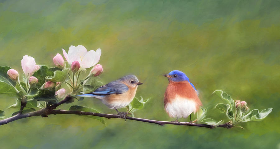 Bluebird Mixed Media - Apple Blossoms and Bluebirds by Lori Deiter