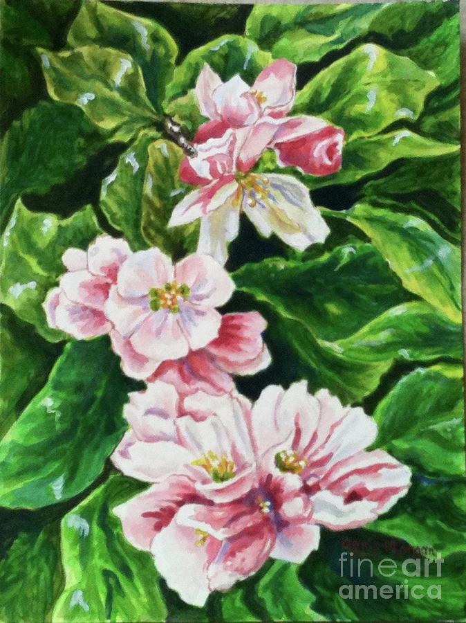 Apple Blossoms Painting by Genie Morgan