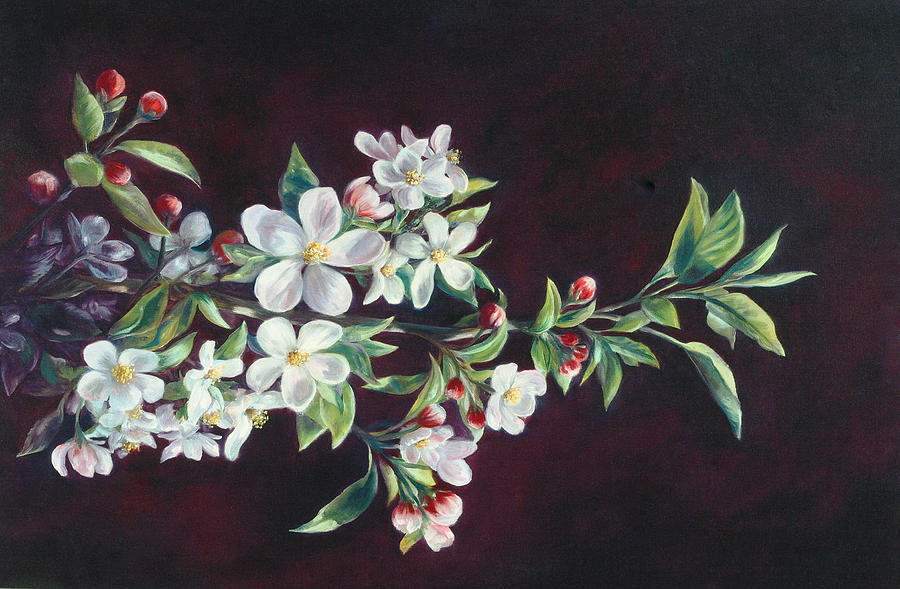 Apple Blossoms Painting by Lynne Pittard