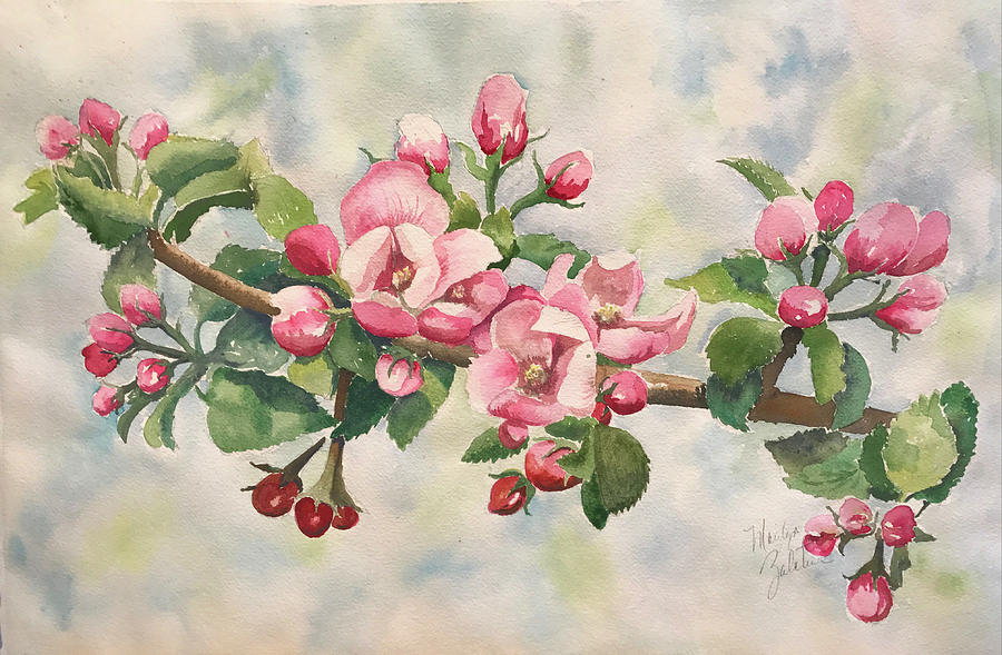 Apple Blossoms Painting by Marilyn Zalatan