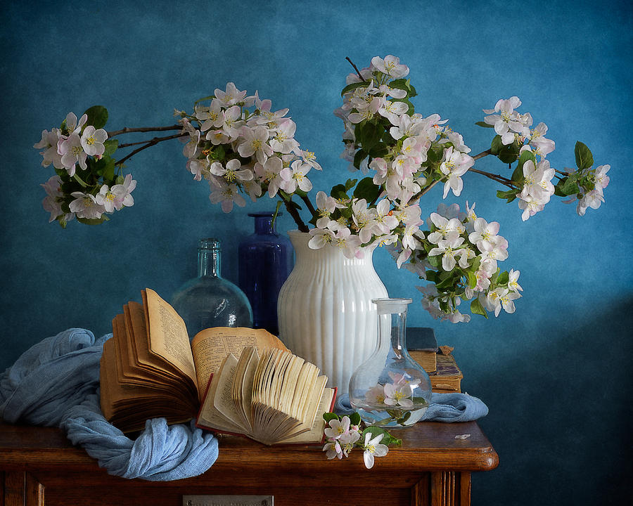 Still Life Photograph - Apple Blossoms by Nikolay Panov