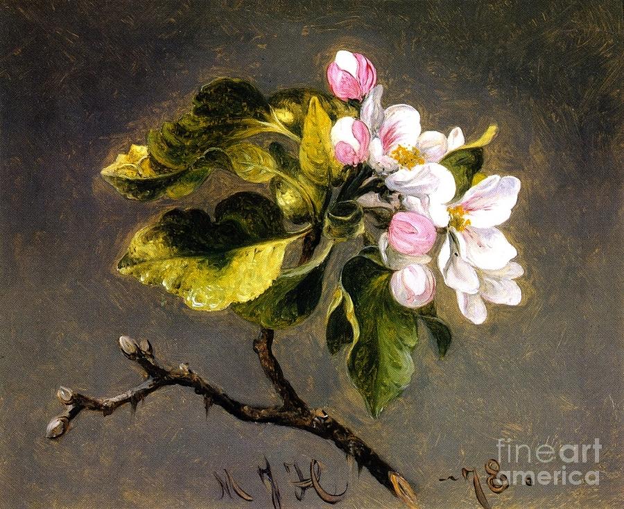Apple Blossomss Painting by MotionAge Designs