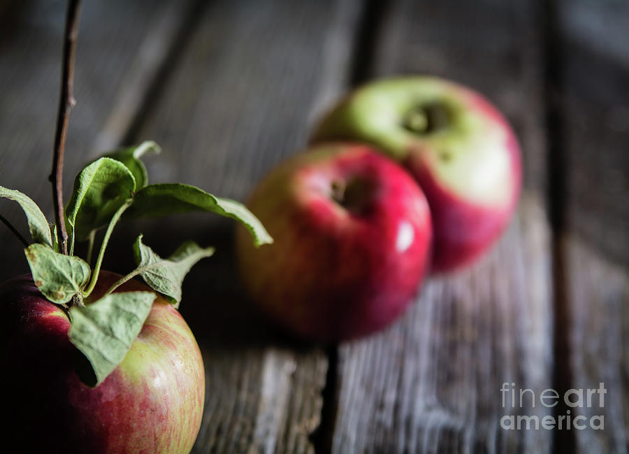 Nature Photograph - Apple Crisp by Deborah Klubertanz