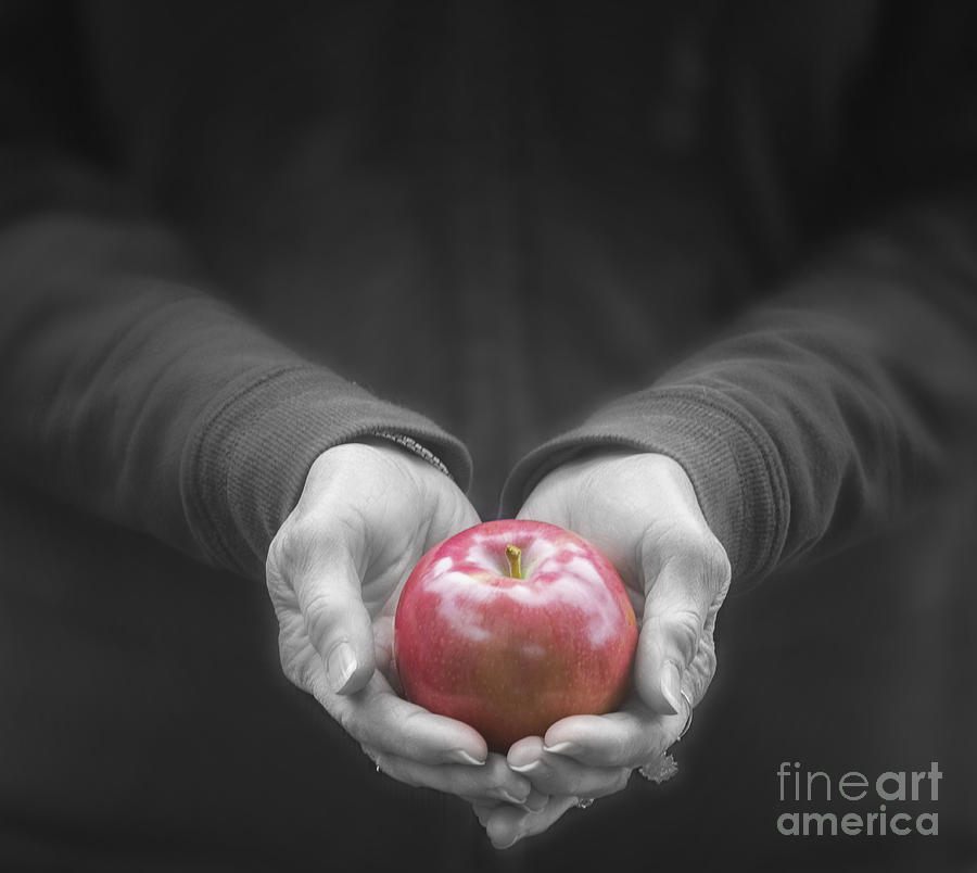 Apple for you Photograph by Juli Scalzi