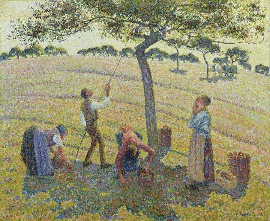 Camille Pissarro Painting - Apple harvest at Eragny by Camille Pissarro
