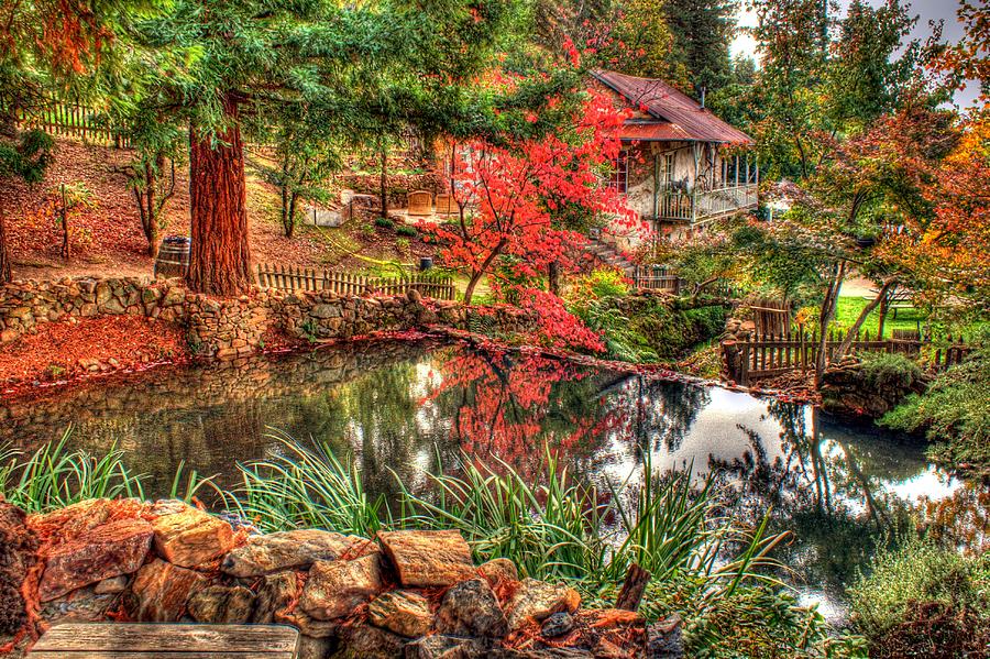 Apple Hill Pond Photograph by Randy Wehner