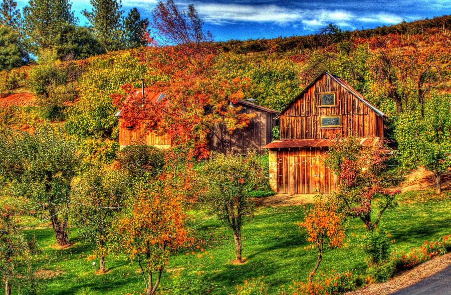 Apple Hill Winery Photograph by Randy Wehner