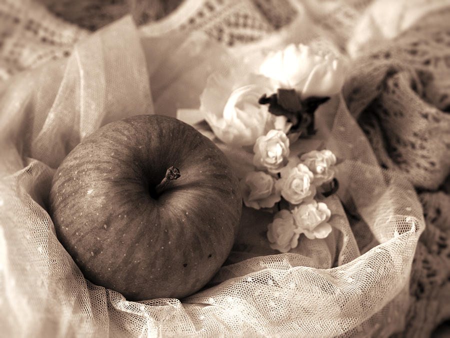Apple in Sepia Photograph by Yuka Kato