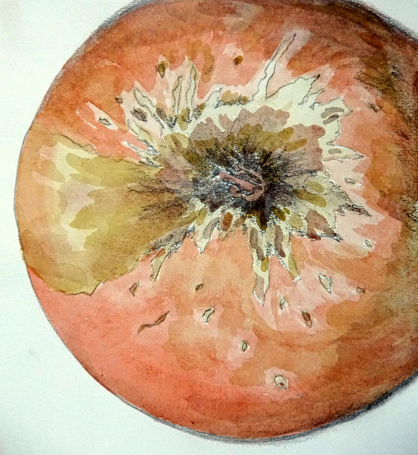Apple Painting by Jolly Van der Velden
