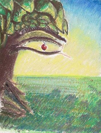 Tree Drawing - Apple of my eye by John Boyd