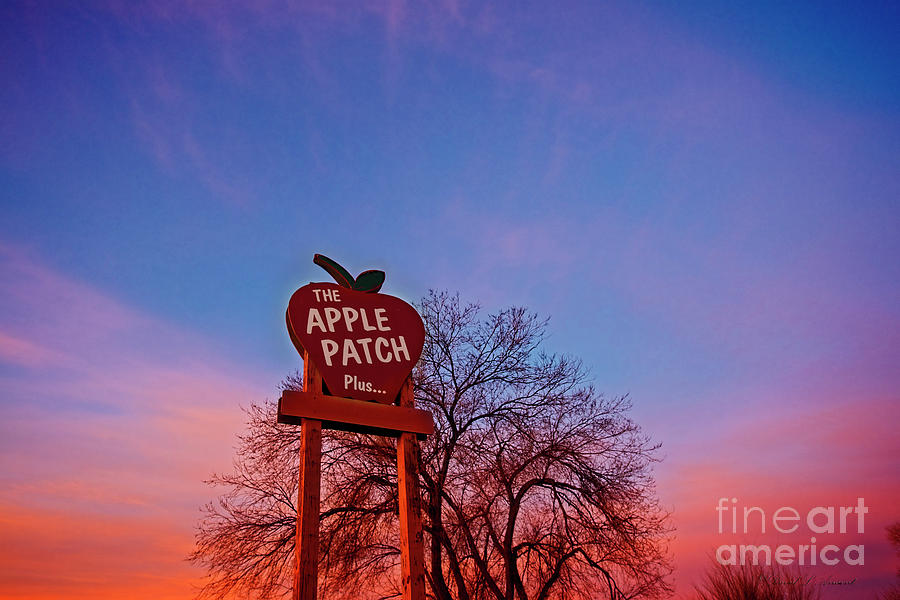 Apple Patch Sign Photograph by David Arment