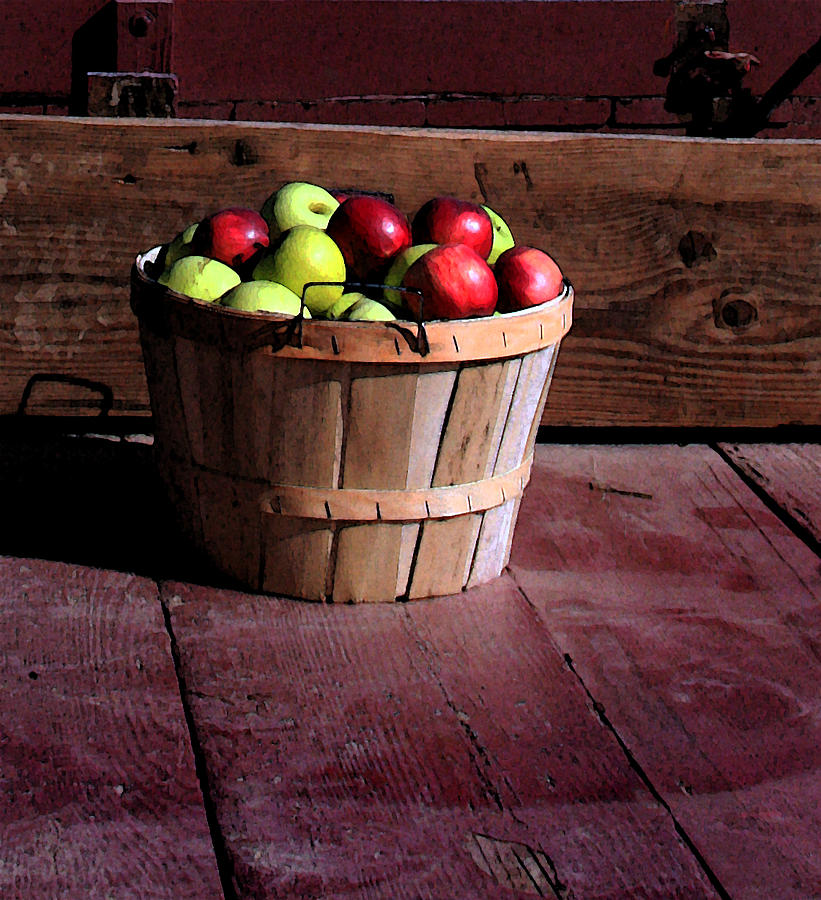 Apple Pickens Photograph by Joanne Coyle