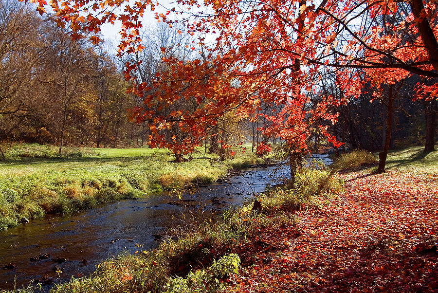 Apple River in Autumn Photograph by Thomas Firak