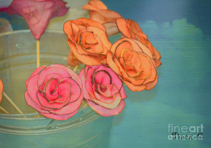 Apple Roses Photograph by Traci Cottingham