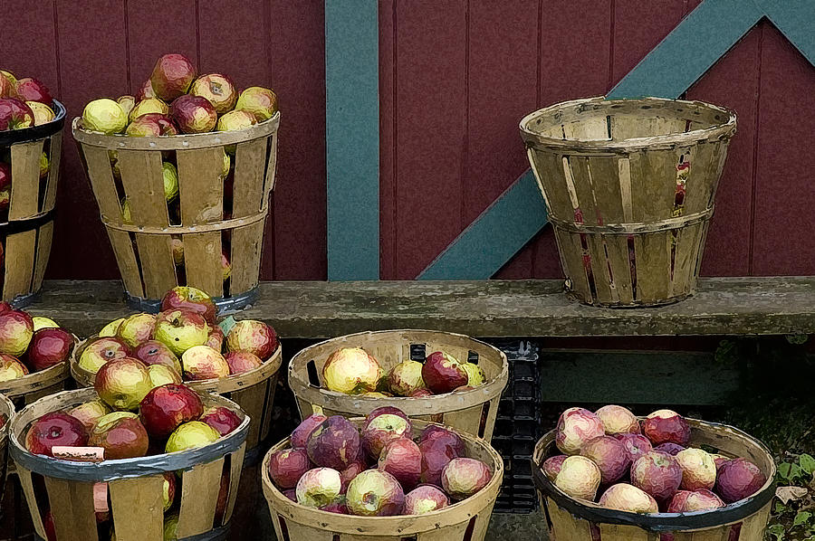 Apple Time Photograph by Ross Powell