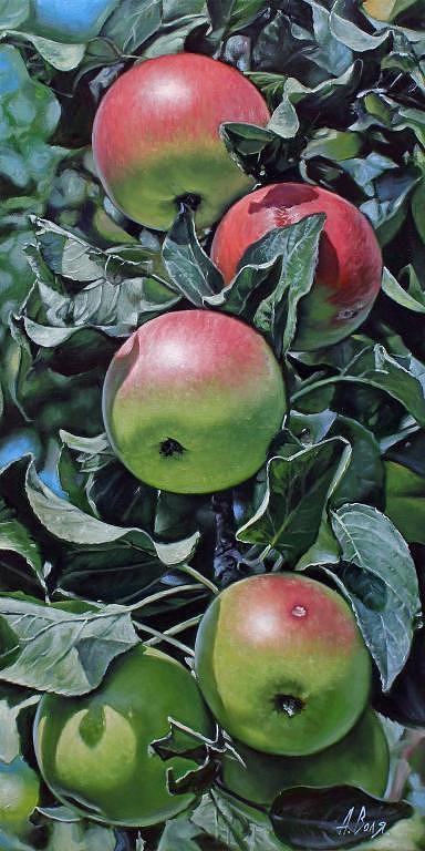 Summer Painting - Apple Tree by Alexander Volya