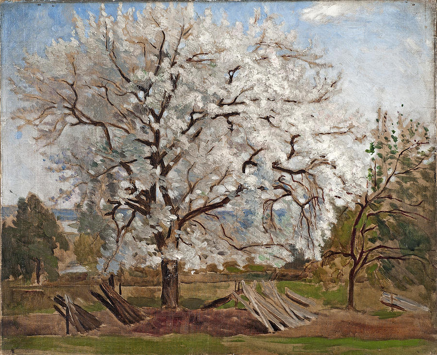 Apple Tree in Blossom Painting by Carl Fredrik Hill