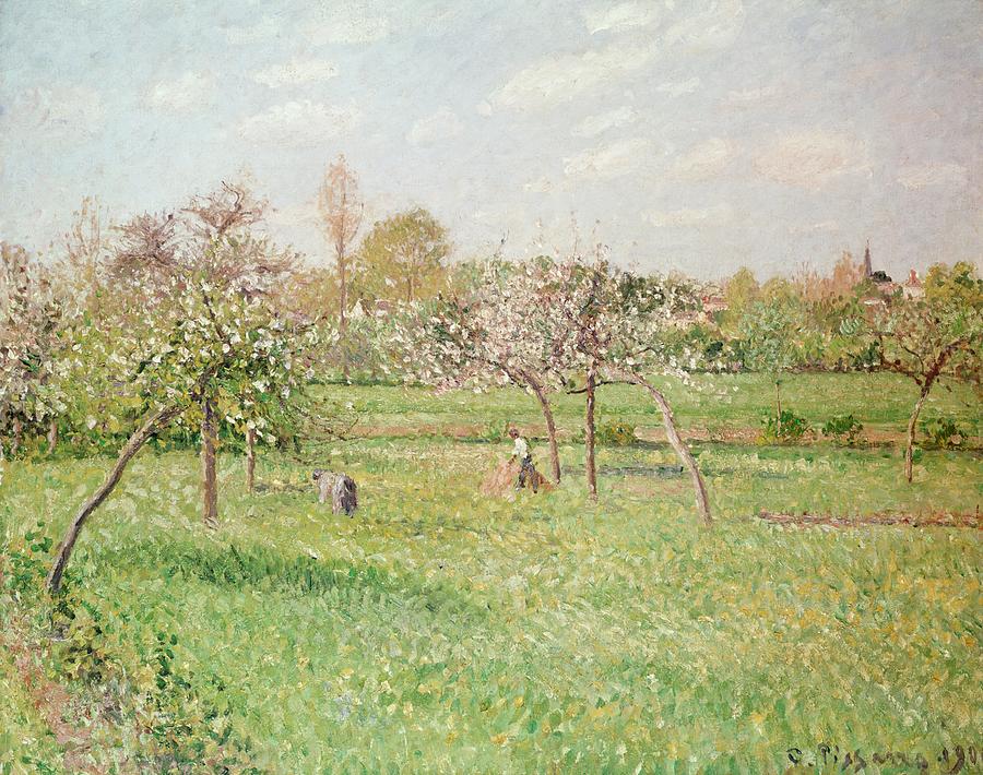 Apple Trees at Gragny Painting by Camille Pissarro