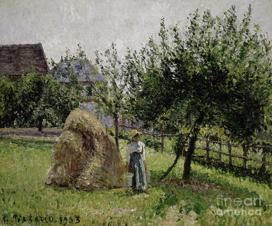 Apple Trees in Eragny, Sunny Morning, 1903  Painting by Camille Pissarro