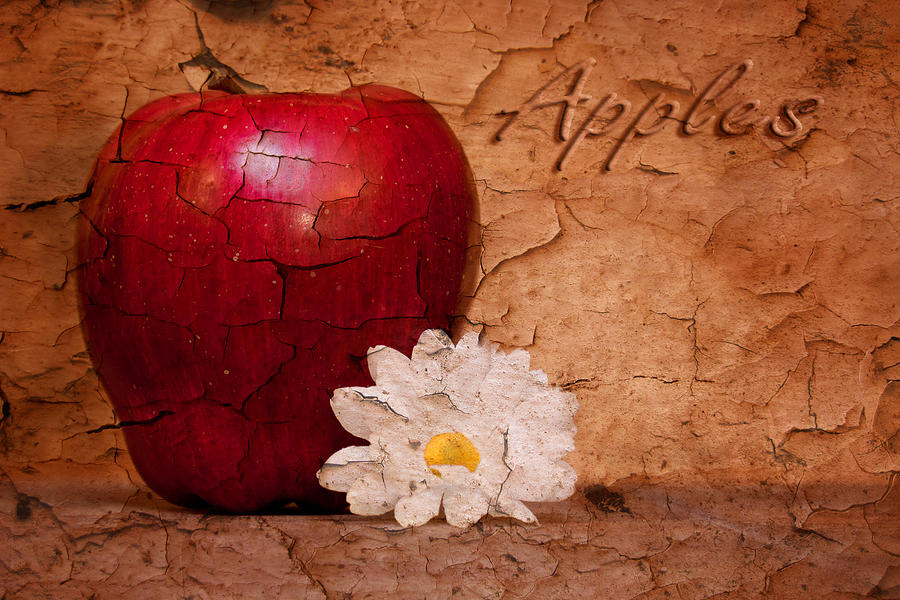 Daisy Photograph - Apple with Daisy by Tom Mc Nemar