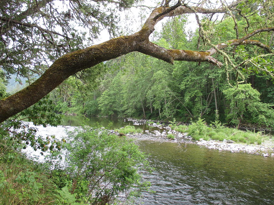 Applegate River at Fish Hatchery landscape view Photograph by Marie Neder
