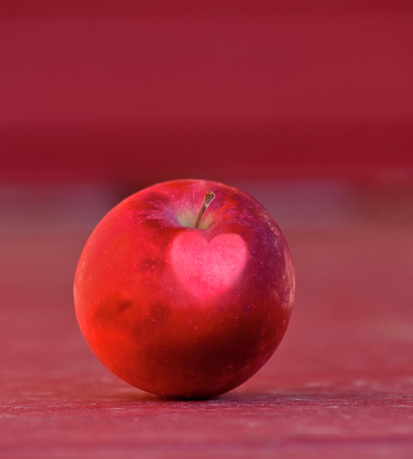 AppleHeart Photograph by Jeff Cooper